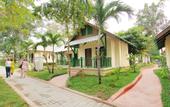 Туры в отель Pattaya Garden