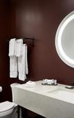 Туры в отель TRYP by Wyndham Pittsburgh/Lawrenceville