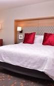 Туры в отель Holiday Inn & Suites Orlando I-Drive Theme Parks by IHG