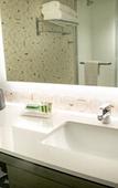 Туры в отель Holiday Inn & Suites Orlando I-Drive Theme Parks by IHG