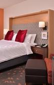 Туры в отель Holiday Inn & Suites Orlando I-Drive Theme Parks by IHG