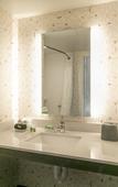 Туры в отель Holiday Inn & Suites Orlando I-Drive Theme Parks by IHG