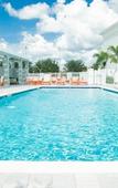 Туры в отель Holiday Inn & Suites Orlando I-Drive Theme Parks by IHG