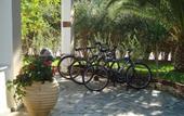 Туры в отель Hotel Pavlina Beach