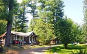 Туры в отель The Wilderness Inn