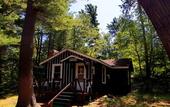 Туры в отель The Wilderness Inn