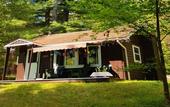 Туры в отель The Wilderness Inn