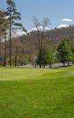 Туры в отель Massanuttens Shenandoah Villas by Tripforth