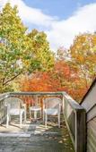 Туры в отель Massanuttens Shenandoah Villas by Tripforth