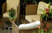 Туры в отель ACasaMia WelcHome Hotel