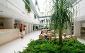 Туры в отель Valamar Argosy Hotel