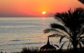 Туры в отель TT Hotels Pegasos Resort