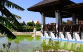 Туры в отель TUI Blue Tropical