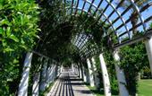 Туры в отель TUI Blue Tropical
