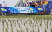 Туры в отель Thunderbird Motel