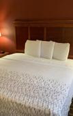 Туры в отель HomeTown Inn & Suites