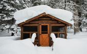 Туры в отель Lochsa Lodge Resort