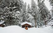 Туры в отель Lochsa Lodge Resort