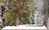 Туры в отель Lochsa Lodge Resort