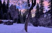 Туры в отель Lochsa Lodge Resort