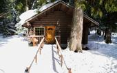 Туры в отель Lochsa Lodge Resort
