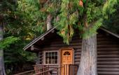 Туры в отель Lochsa Lodge Resort