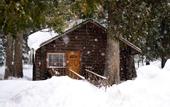 Туры в отель Lochsa Lodge Resort