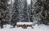 Туры в отель Lochsa Lodge Resort