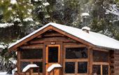 Туры в отель Lochsa Lodge Resort