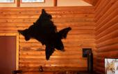 Туры в отель Lochsa Lodge Resort