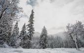 Туры в отель Lochsa Lodge Resort