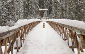 Туры в отель Lochsa Lodge Resort
