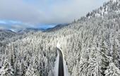 Туры в отель Lochsa Lodge Resort