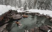 Туры в отель Lochsa Lodge Resort