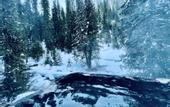 Туры в отель Lochsa Lodge Resort