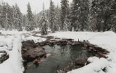 Туры в отель Lochsa Lodge Resort