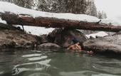 Туры в отель Lochsa Lodge Resort