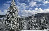 Туры в отель Lochsa Lodge Resort