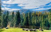Туры в отель Lochsa Lodge Resort