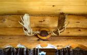 Туры в отель Lochsa Lodge Resort