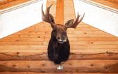 Туры в отель Lochsa Lodge Resort