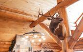 Туры в отель Lochsa Lodge Resort