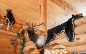 Туры в отель Lochsa Lodge Resort