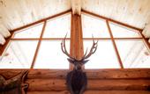 Туры в отель Lochsa Lodge Resort