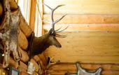 Туры в отель Lochsa Lodge Resort