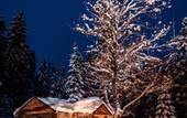 Туры в отель Lochsa Lodge Resort