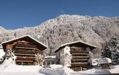 Туры в отель Pension Alpenrose