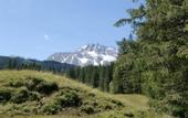 Туры в отель Pension Anneliese