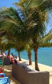 Туры в отель The Pointe Hotel