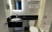 Туры в отель Royal Hotel Bronx